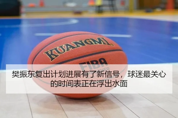 樊振东复出计划进展有了新信号，球迷最关心的时间表正在浮出水面 - wanmeiduizhan